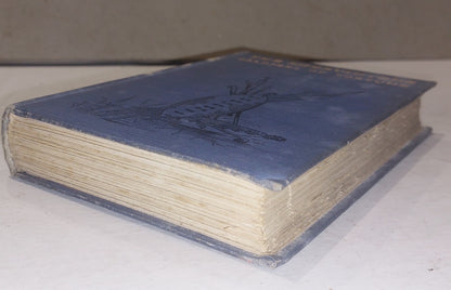 The Shervintons  Soldiers Of Fortune By Kathleen Shervinton (1899) Hb Book7