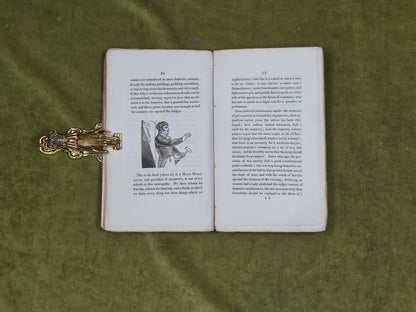 A Lecture on Heads - Geo. Alex Stevens , W. Wilson 1812 PB4