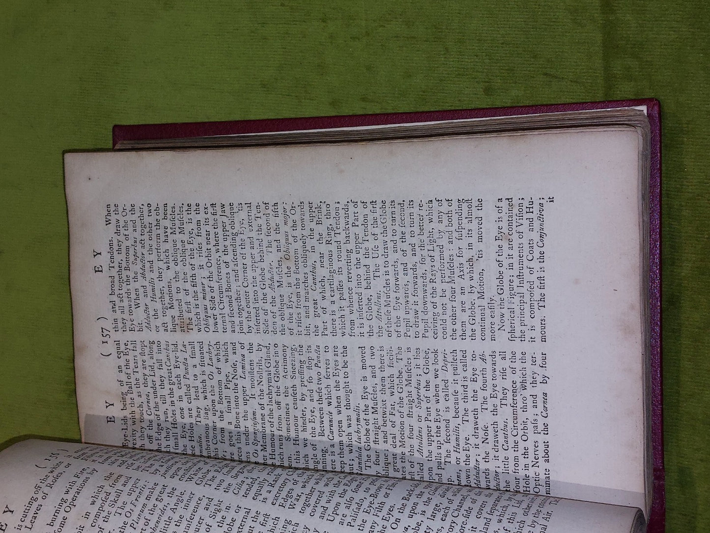 Lexicon Physico-Medicum ; Medicinal Dictionary John Quincy (1767 eighth edition)5