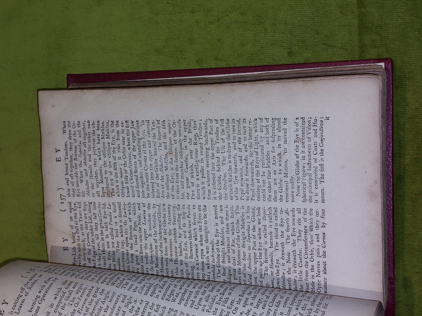 Lexicon Physico-Medicum ; Medicinal Dictionary John Quincy (1767 eighth edition)5