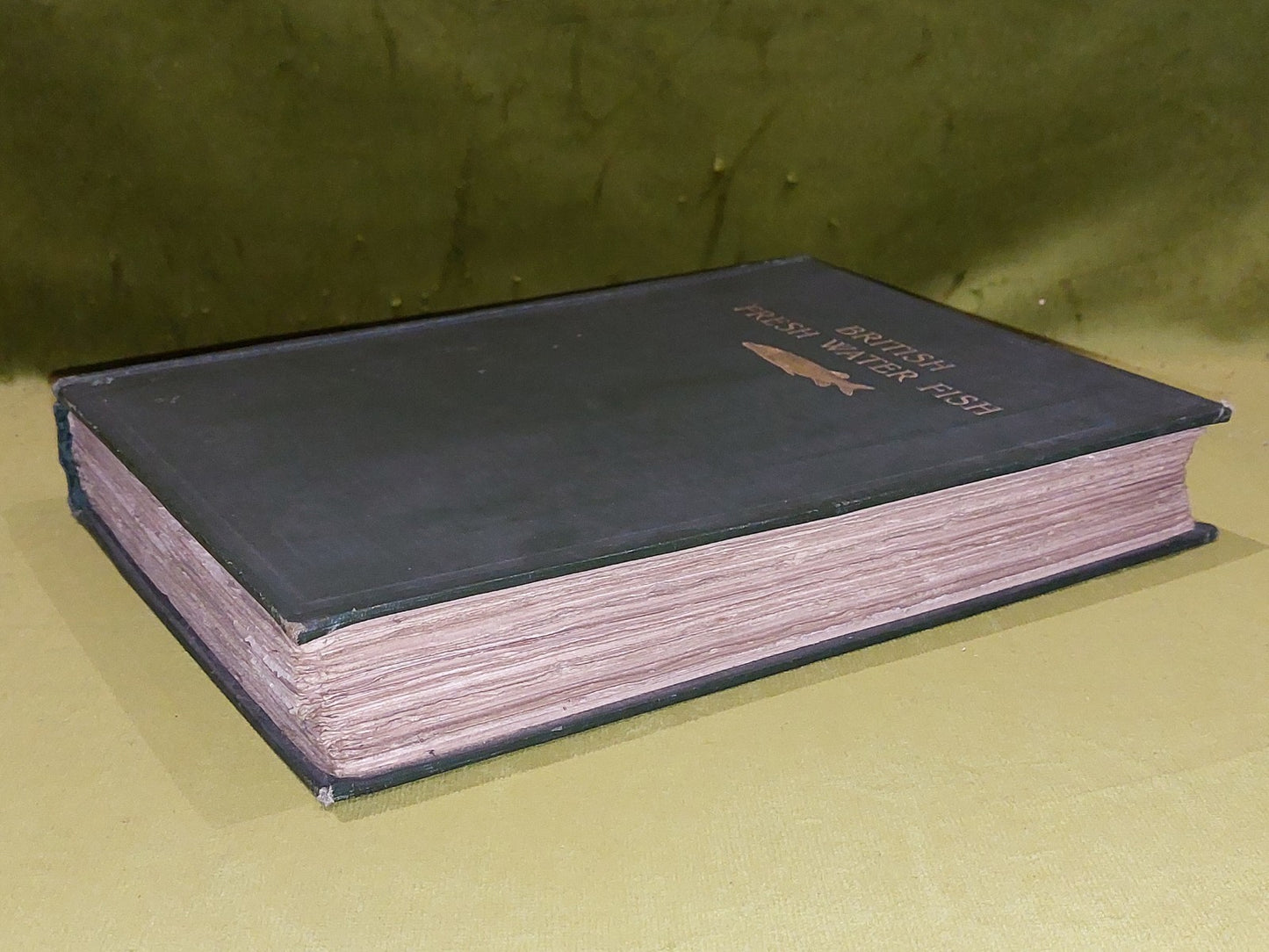 British Fresh-Water Fishes by Sir Herbert Maxwell (1904) [Hutchinson & Co] Hb8