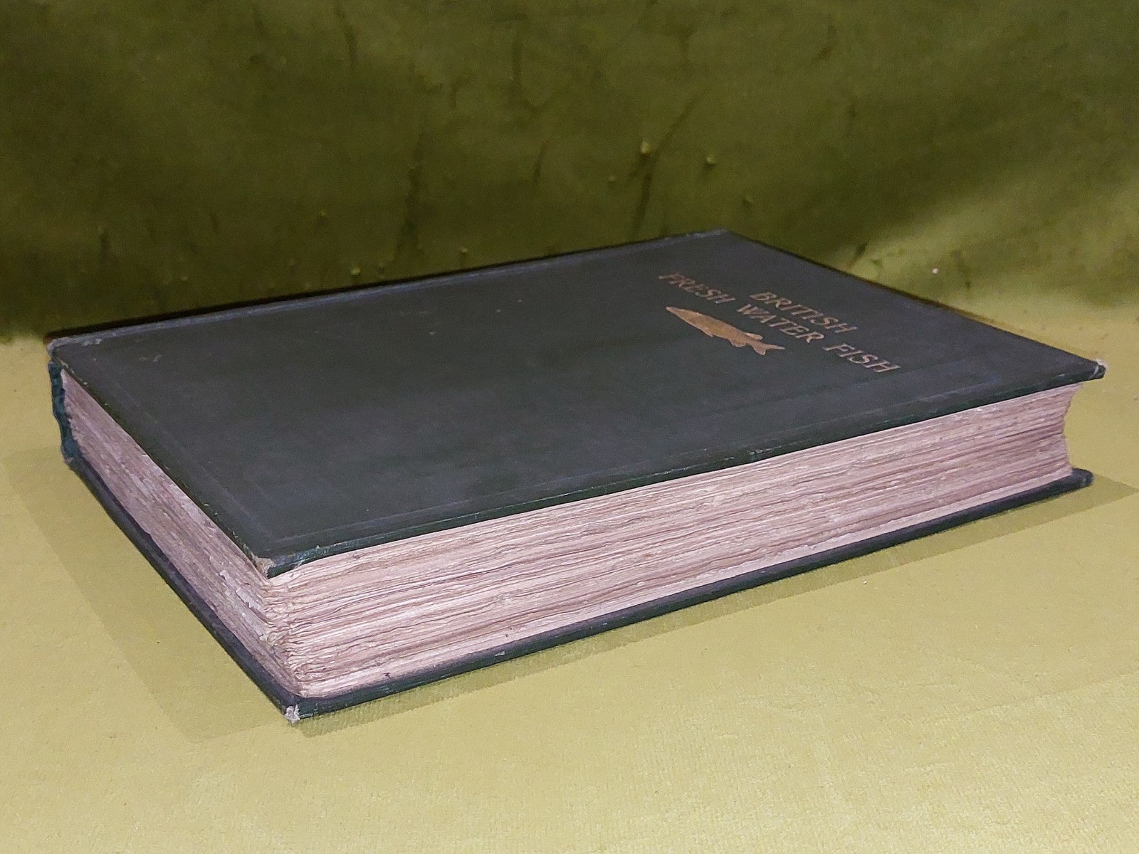 British Fresh-Water Fishes by Sir Herbert Maxwell (1904) [Hutchinson & Co] Hb8