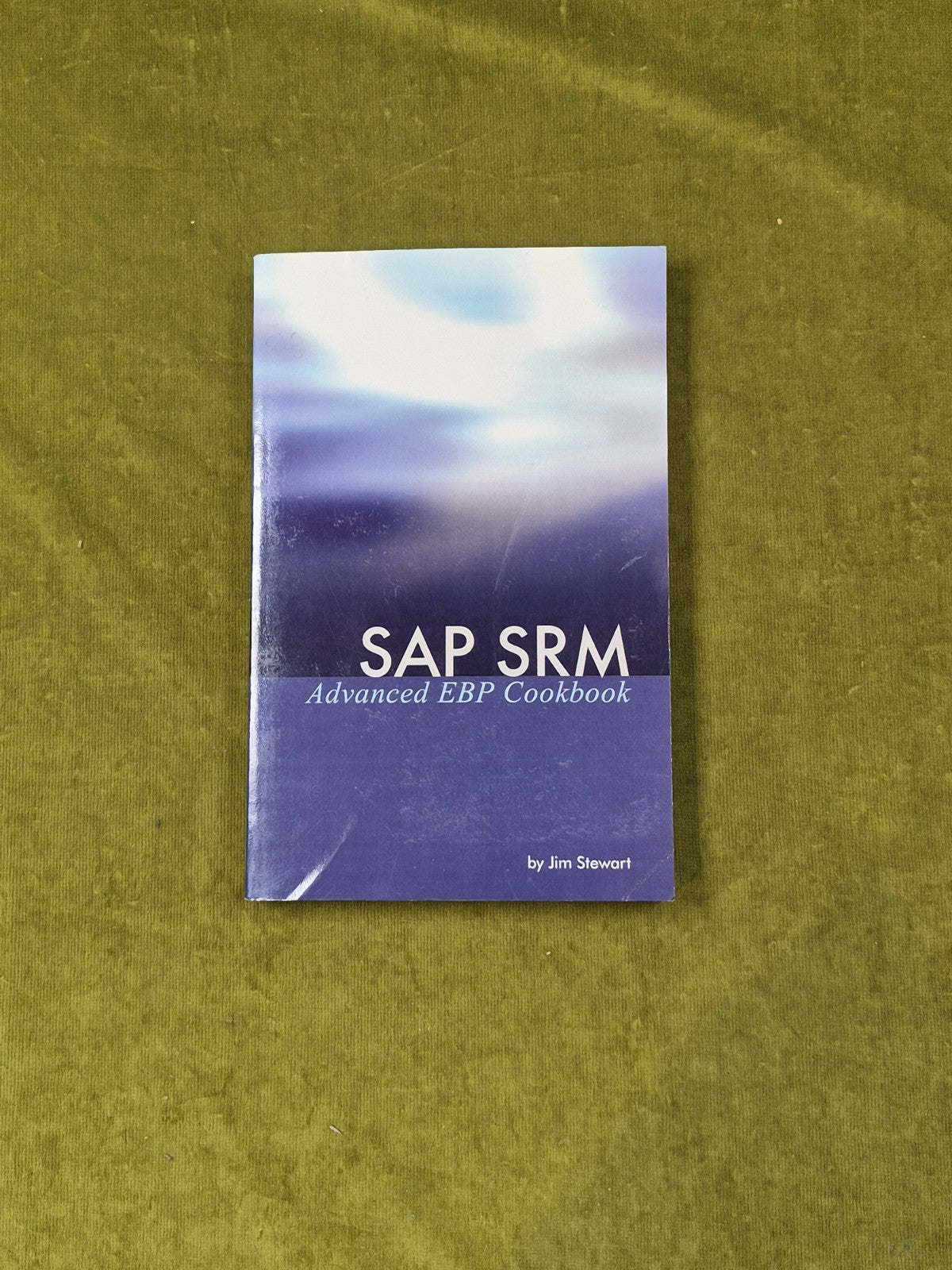 SAP SRM Advanced EBP Cookbook - Jim Stewart , Equity 20040