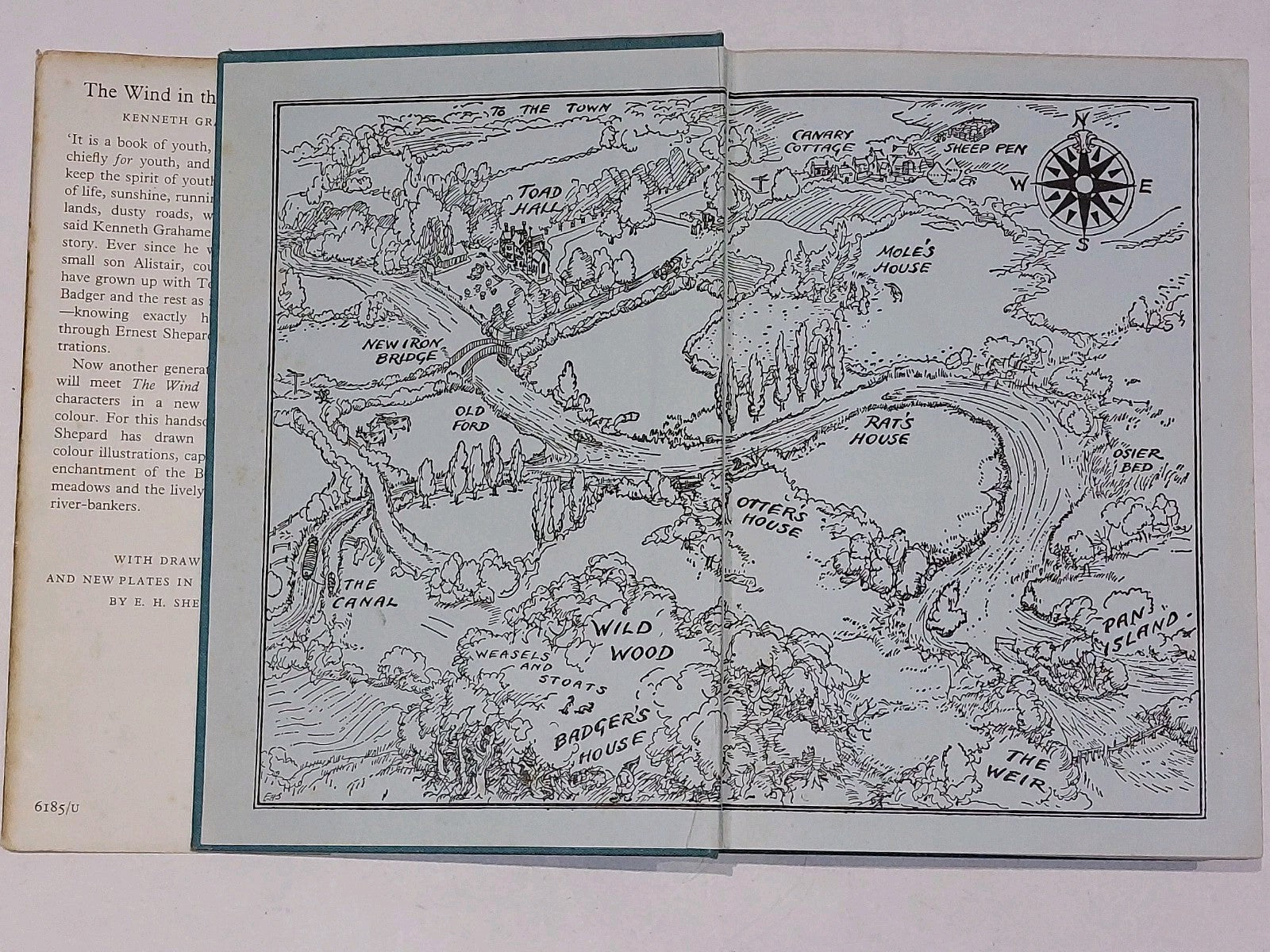 The Wind In The Willows Kenneth Grahame 1st Colour Edition Ernest H Shepard 19593