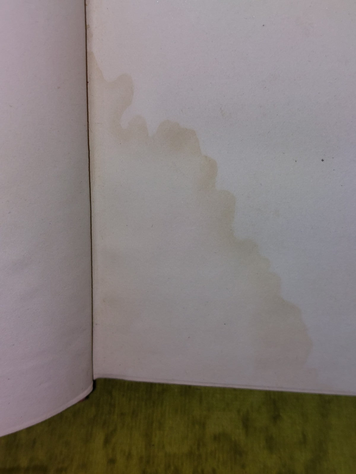 Glimpses of Life in Victoria by a Resident (1872) 1st Edition 6