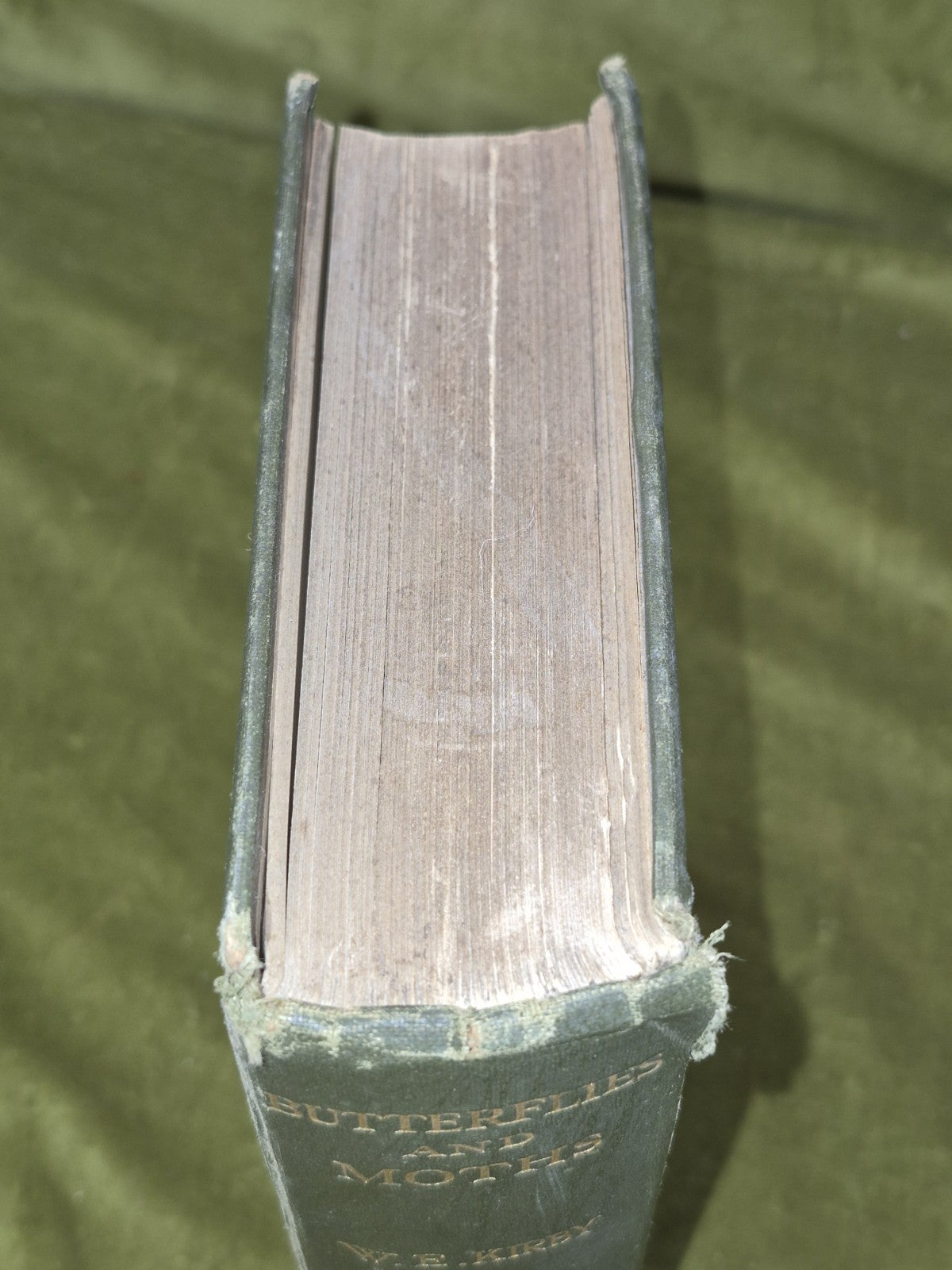 Butterflies & Moths of the United Kingdom Egmont Kirby First Edition Routledge 1