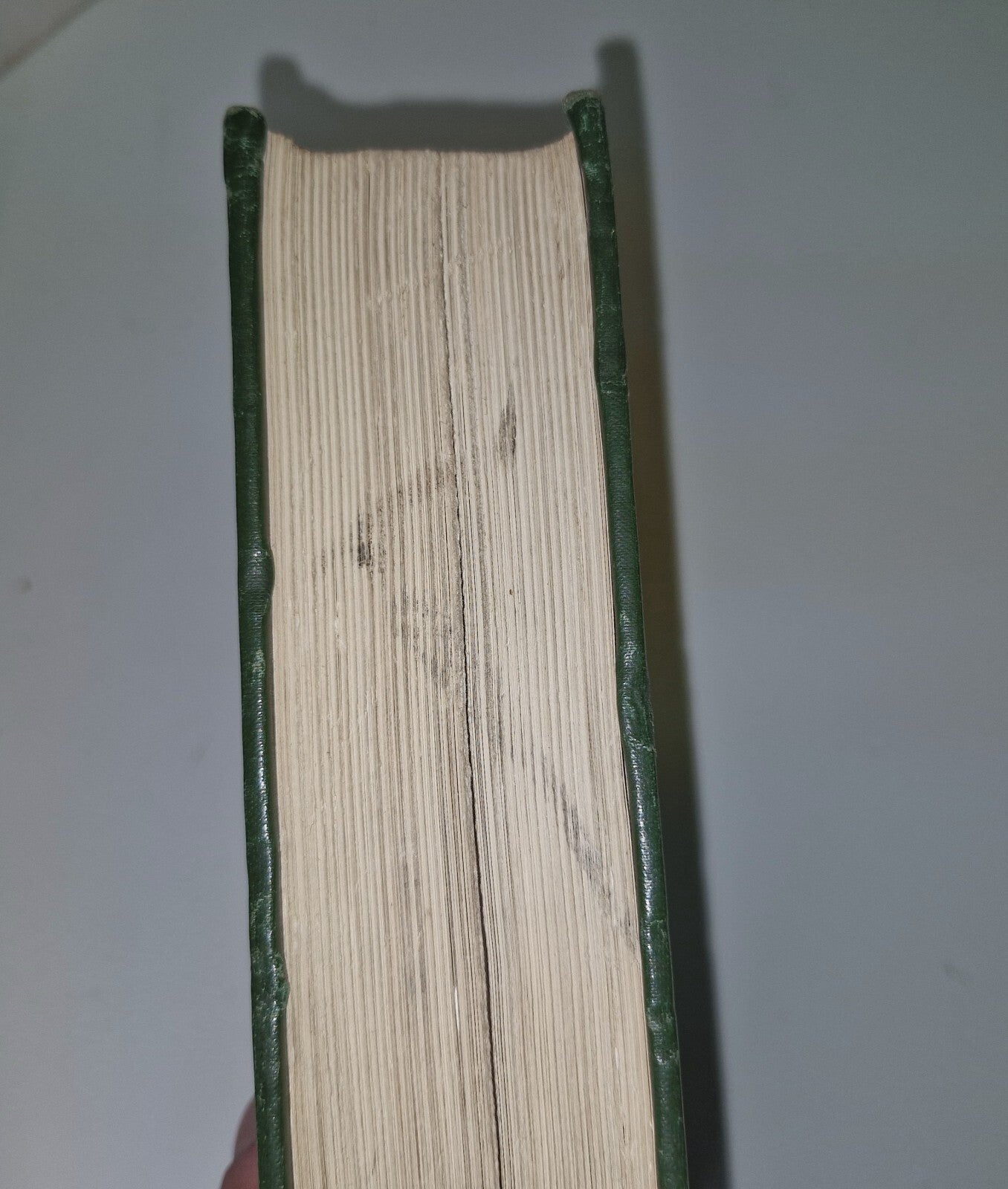 The Bird Its Form And Function By C. William Beebe 190715