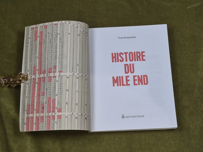  Histoire du Mile End - Yves Desjardins , Septentrion 2017 Paperback3