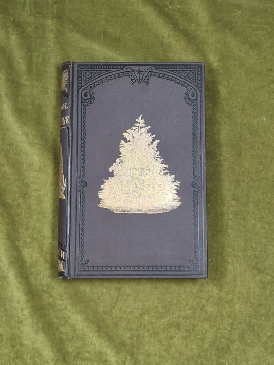 A Manual of The Coniferae by James Veitch & Sons 1881 HC / Antique1