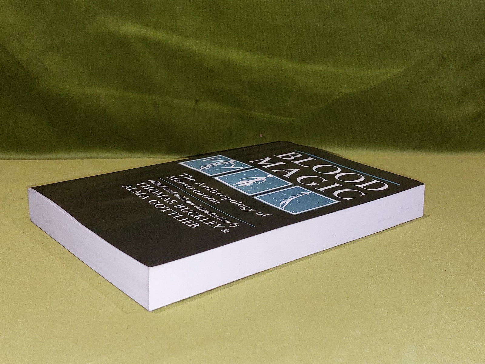 Blood Magic By Thomas Buckley & Alma Gottlieb [Uni Of California Press] 1988 Pb5