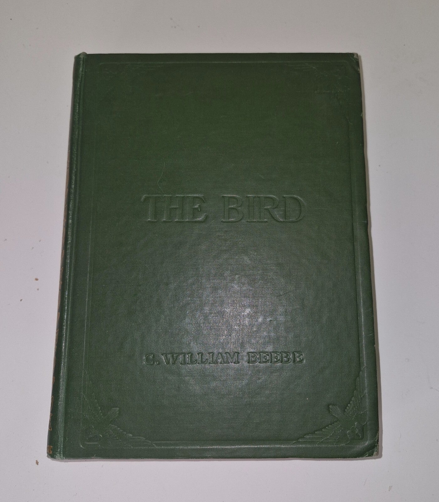 The Bird Its Form And Function By C. William Beebe 19071