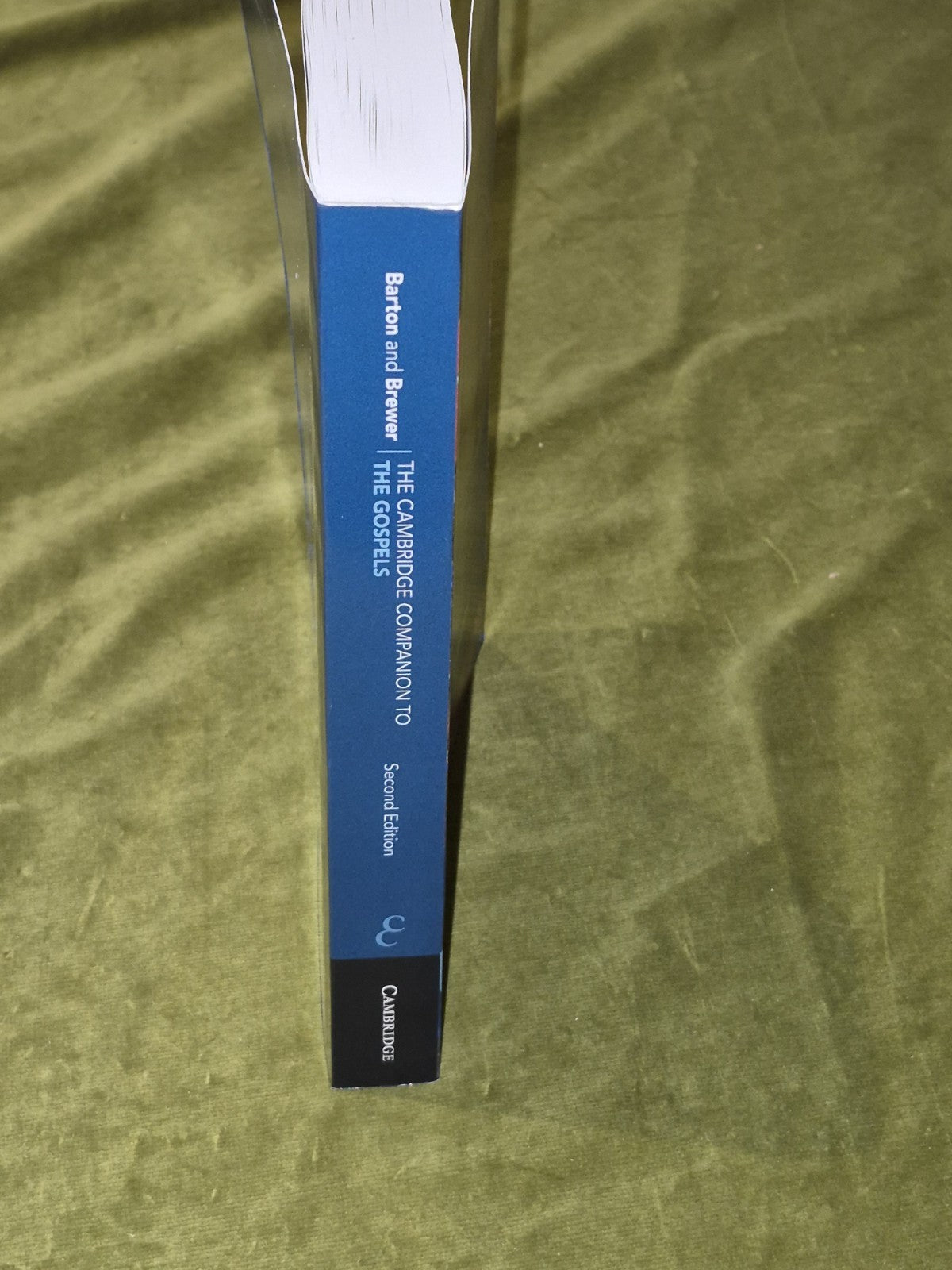 The Cambridge Companion to the Gospels2