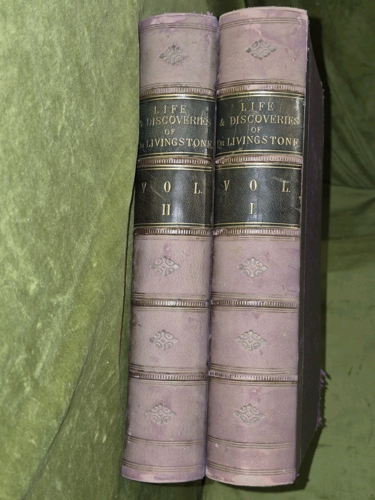 The Pictorial Edition David Livingston Fullarton c1880 Complete Two Volumes5