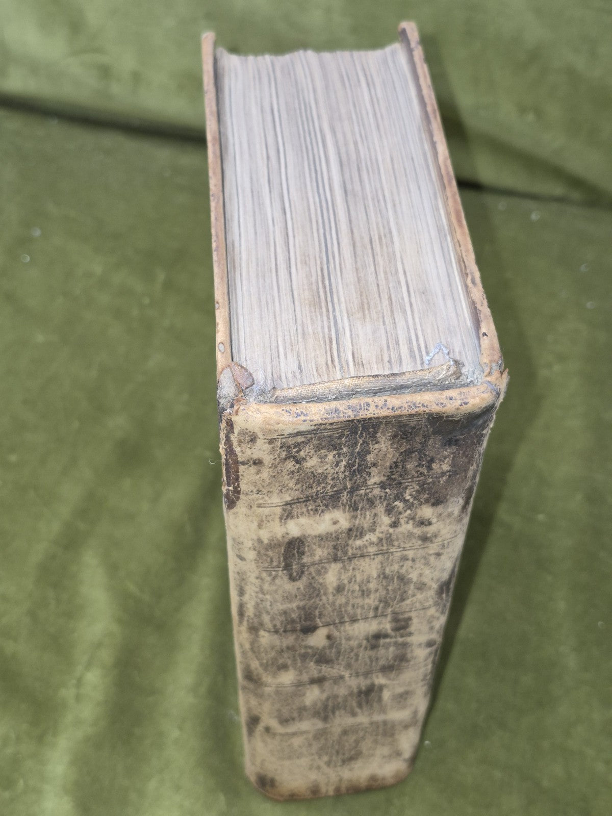 Biobull T-Seann Tiomnaidh 1828 London Gaelic Albannaich2