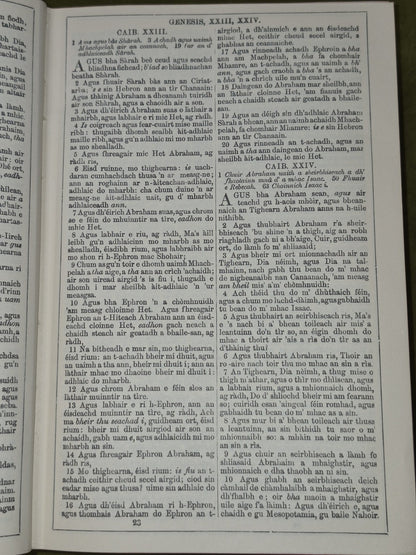 Biobull 1939 Comunn-Bhiobull Duthchail na H-Alba Glasgow 6