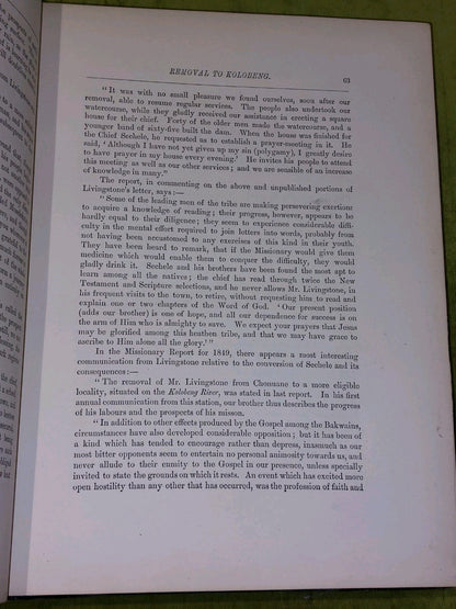 c1880 Life And Explorations Of Dr Livingstone Illustrated Tinted Lithographs10