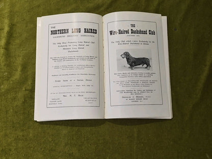 The Dachshund Club Handbook 19556