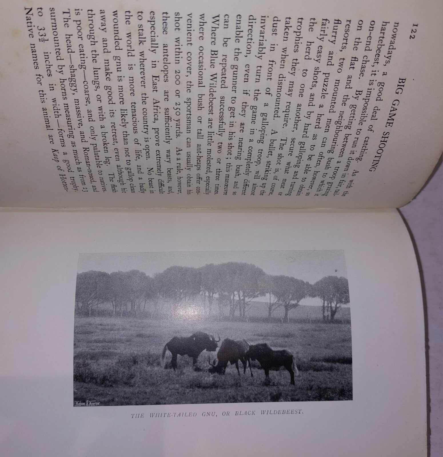 Big Game Shooting. Horace G. Hutchison. Volume 2 Only 1905 1st Edition 7