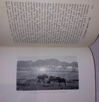 Big Game Shooting. Horace G. Hutchison. Volume 2 Only 1905 1st Edition 7
