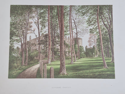 Series of Picturesque Views of Seats of Noblemen and Gentlemen of Great Britain9