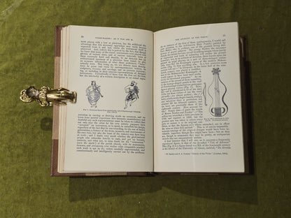 VIOLIN - MAKING, AS IT WAS AND IS - Ed. Heron-Allen , Ward Lock & Co 1885 2nd HB5