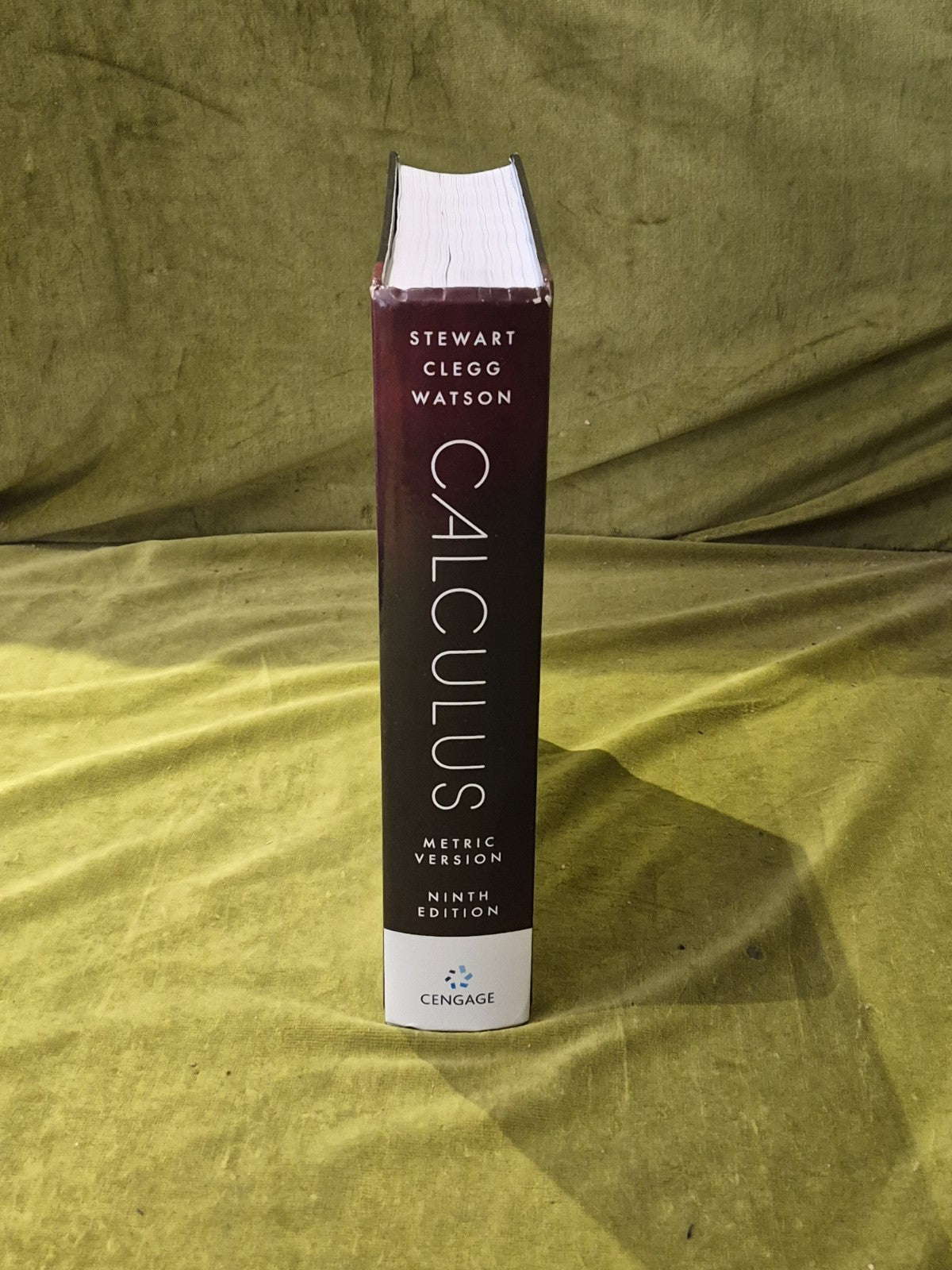 Calculus , Metric Edition (9E) - James Stewart , Daniel K. Clegg , Saleem Watson2