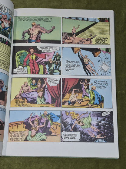 1974 Flash Gordon Volume 1 The Planet Mongo Hardcover Book6