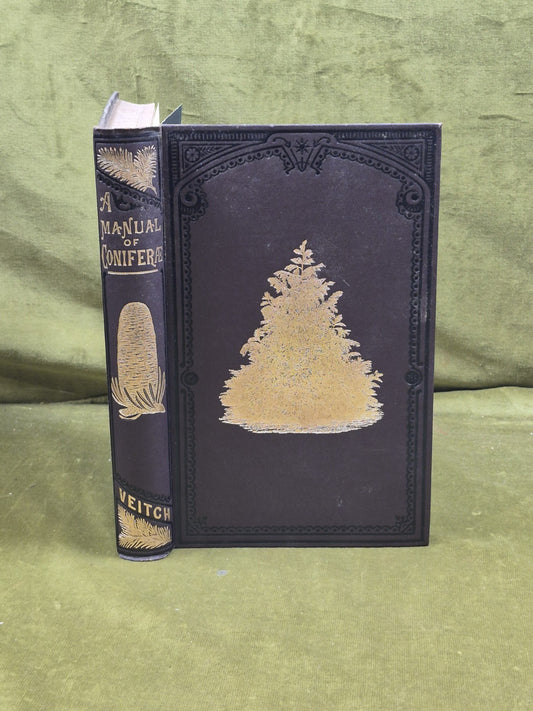 A Manual of The Coniferae by James Veitch & Sons 1881 HC / Antique0