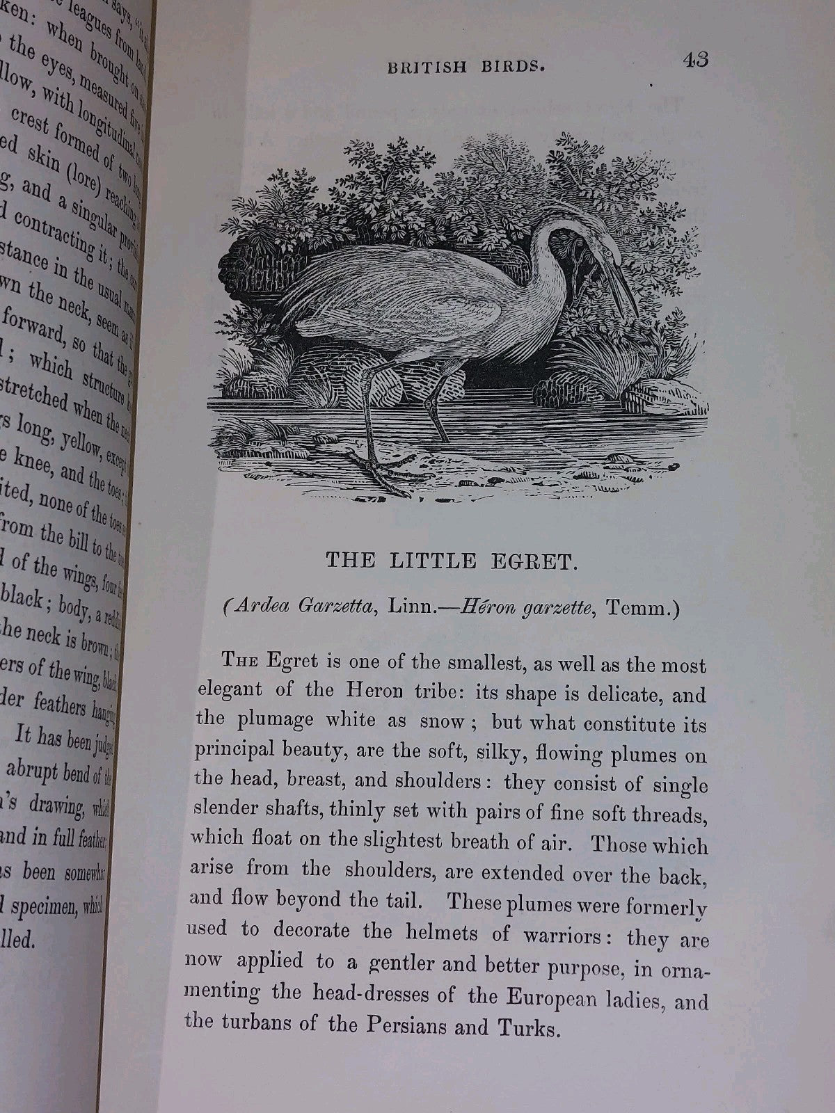 History of British Birds ~ BEWICK Vols I & II (1847)5