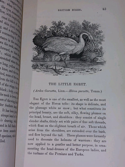 History of British Birds ~ BEWICK Vols I & II (1847)5