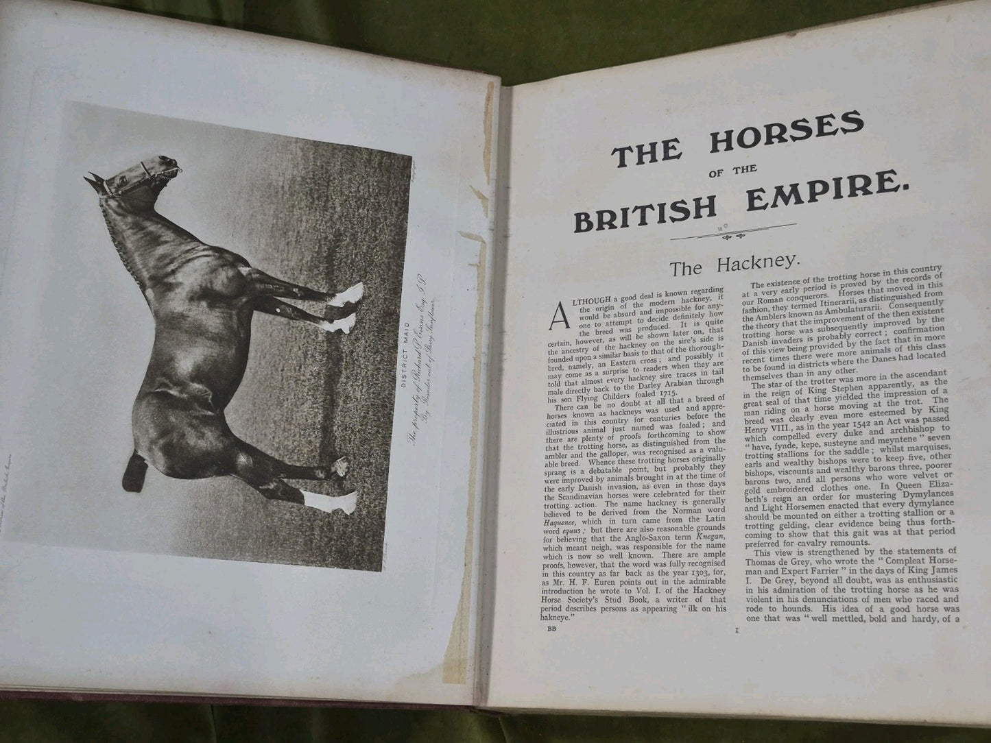 The Horses of the British Empire Humphrey F De Trafford Walter Volume 2.8