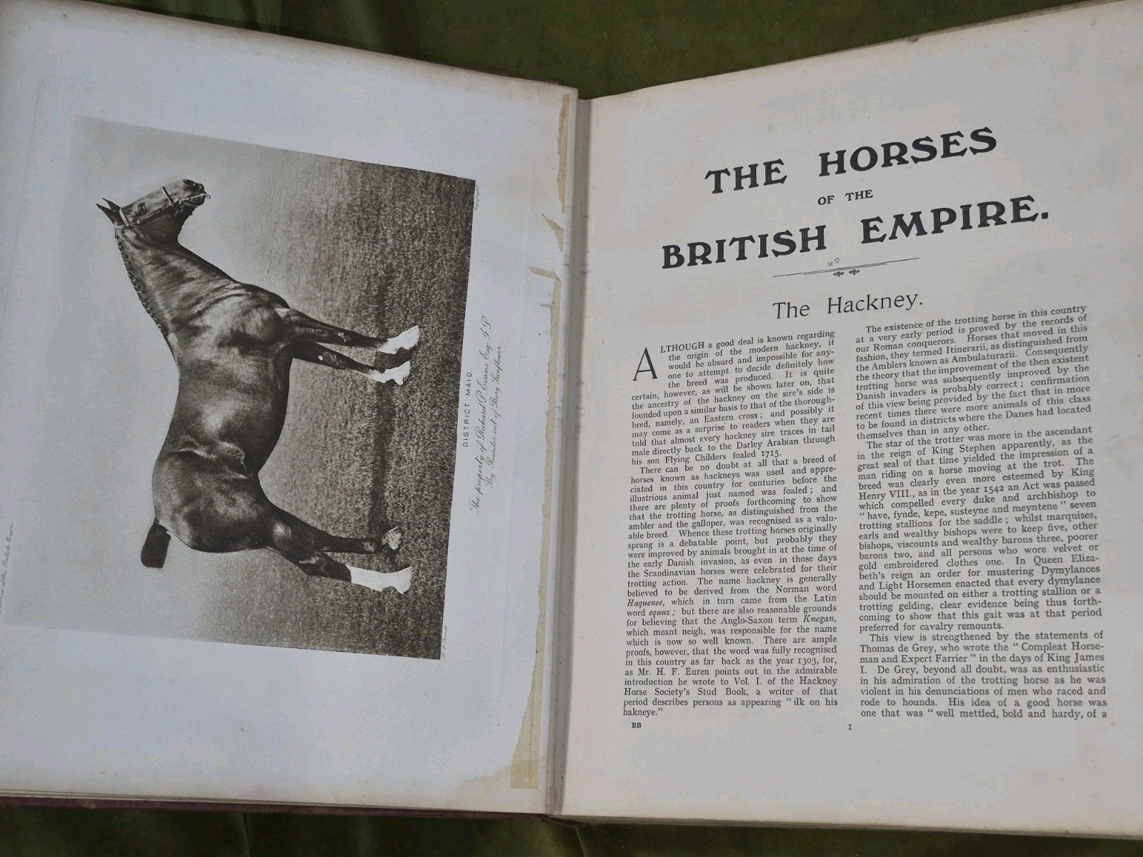 The Horses of the British Empire Humphrey F De Trafford Walter Volume 2.8