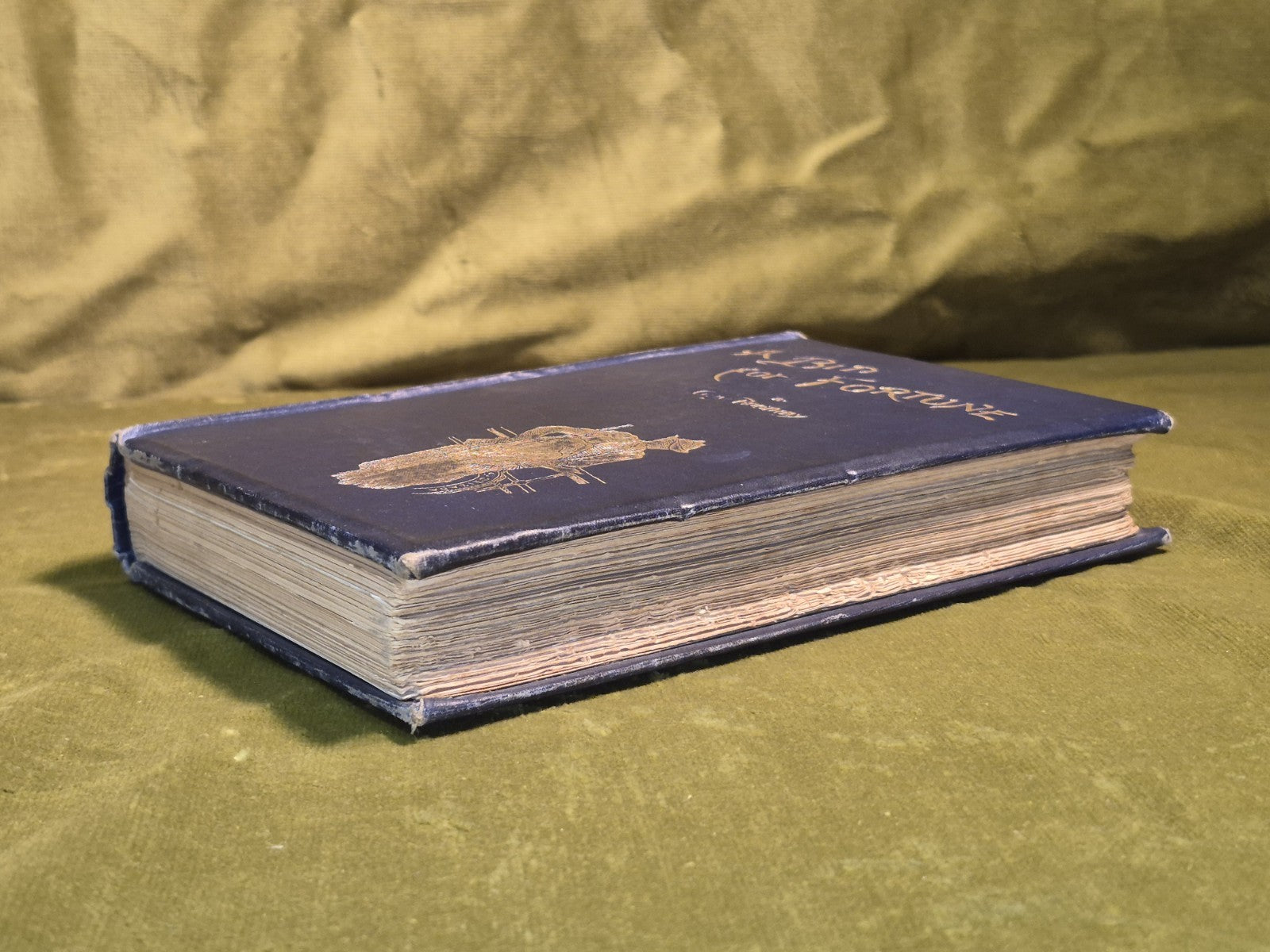 A Bid for Fortune / Dr. Nikola's Vendetta - Guy Boothby7