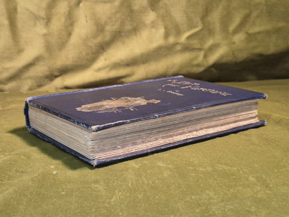 A Bid for Fortune / Dr. Nikola's Vendetta - Guy Boothby7