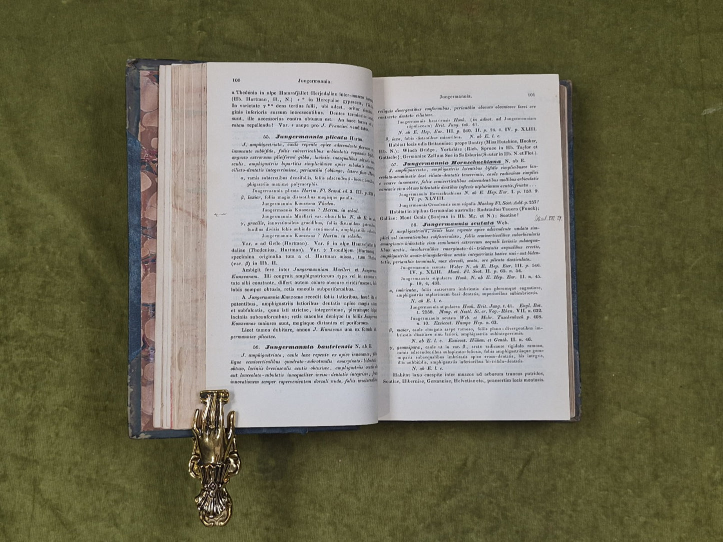 Synopsis hepaticarum: Coniunctis studiis scripserunt et edi curaverunt - 18447