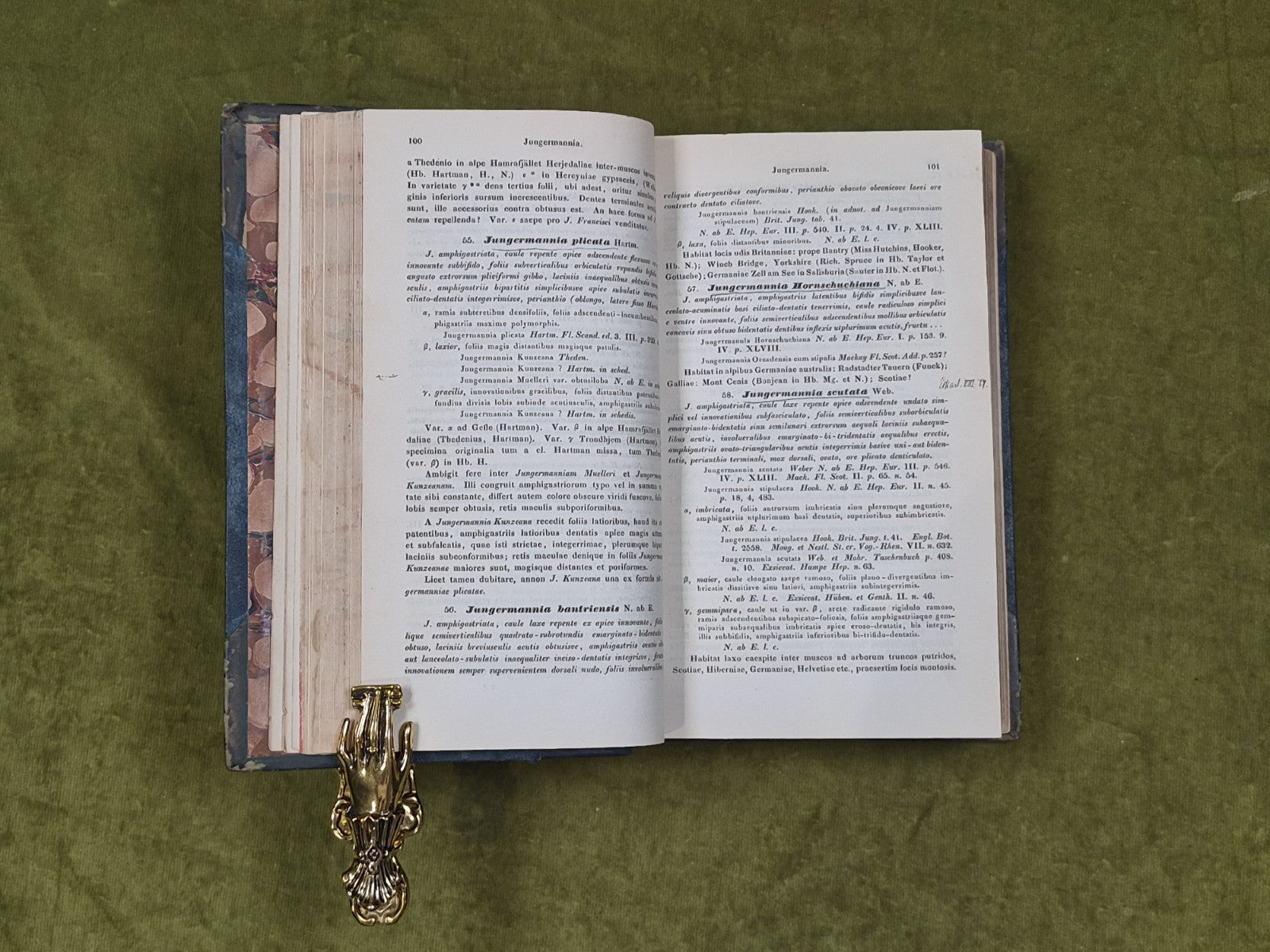 Synopsis hepaticarum: Coniunctis studiis scripserunt et edi curaverunt - 18447