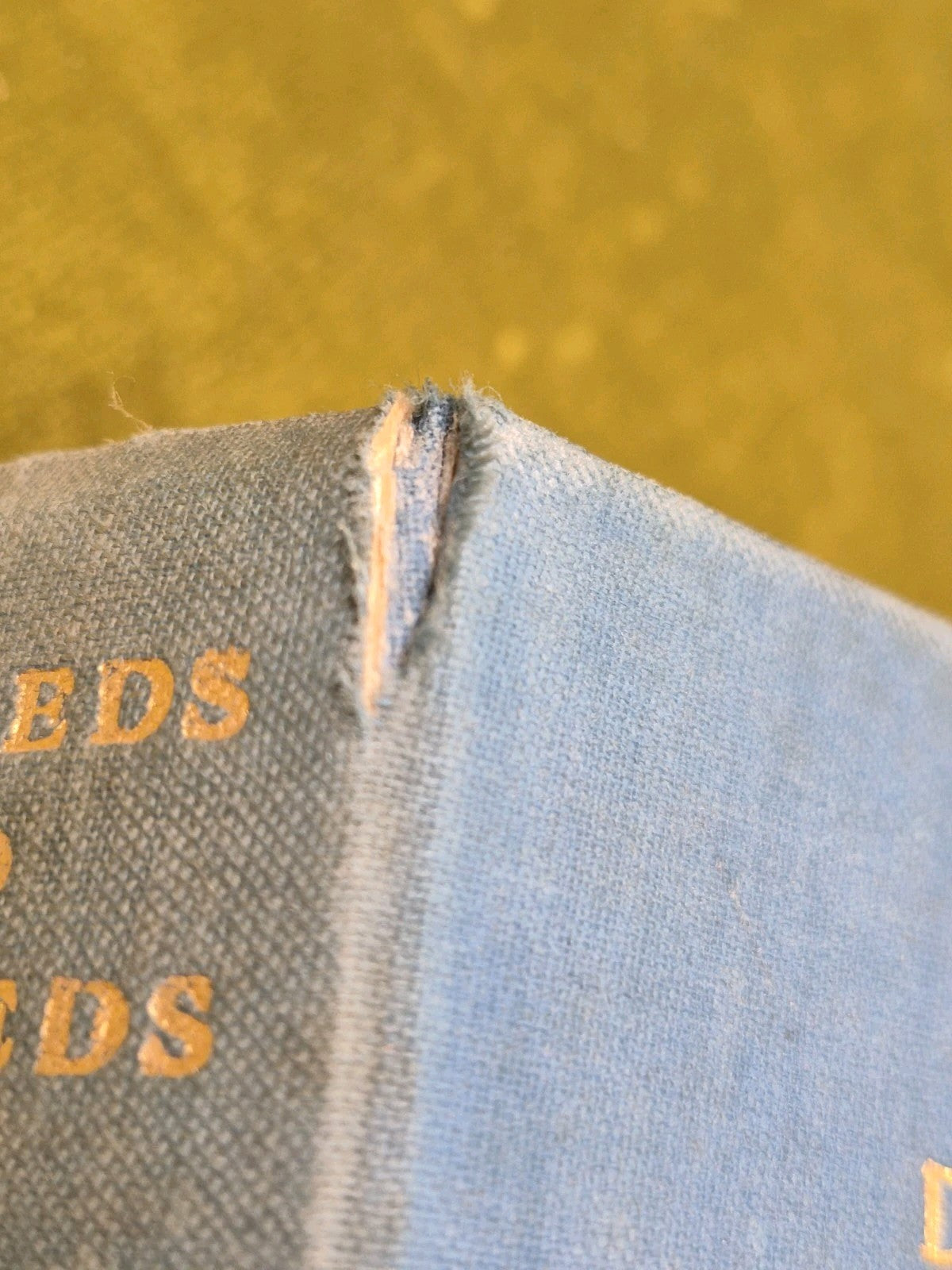 My Deeds and Misdeeds By A Naval Wife Second Impression 1932 William Blackwood2