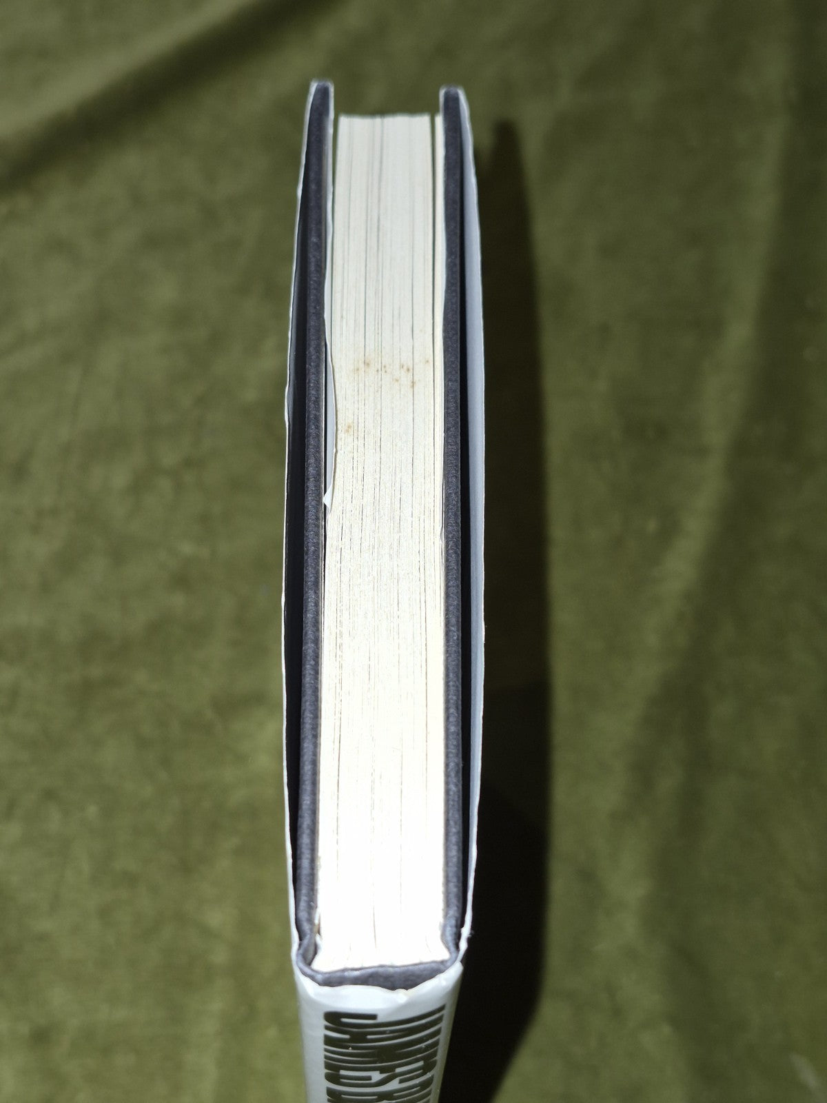 Evidence of Things Not Seen by James Baldwin (UK Hardcover, 1986) First Edition 2