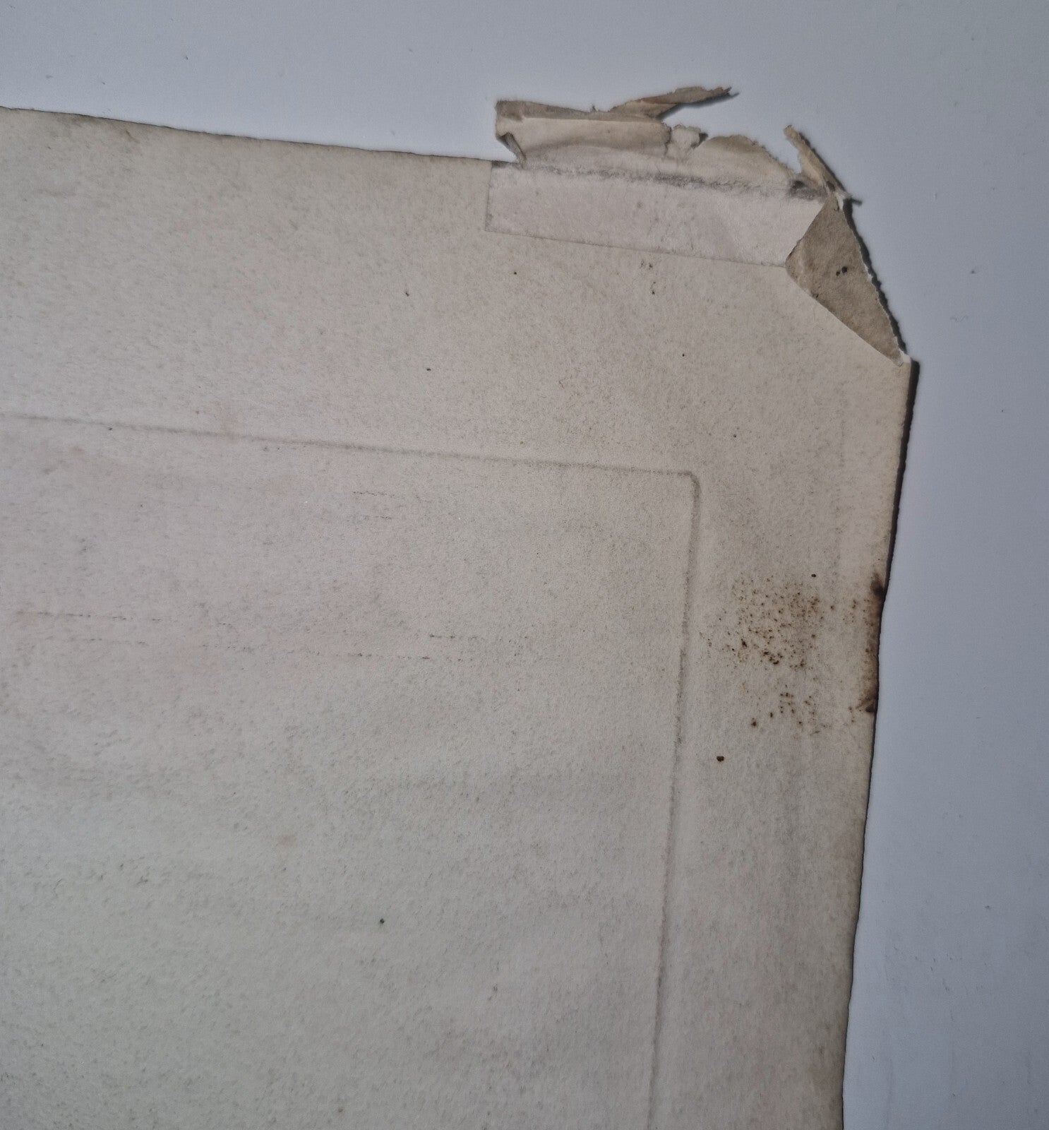 Antique Satirical Political Print. The Orang Outang  The Beast That Violates...9