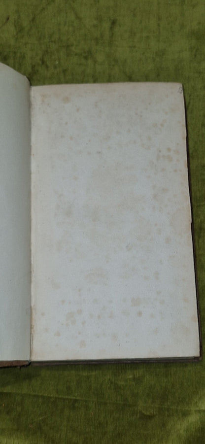 Chronicles of Saint Mungo Antiquities Glasgow (1843) Wallace Harvey 4