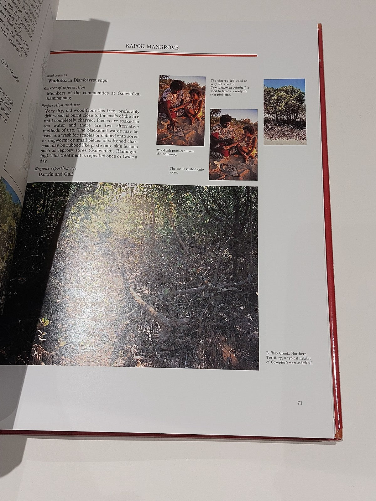 Traditional Bush Medicines : An Aboriginal Pharmacopoeia (1988) 1st Ed Hb Book6
