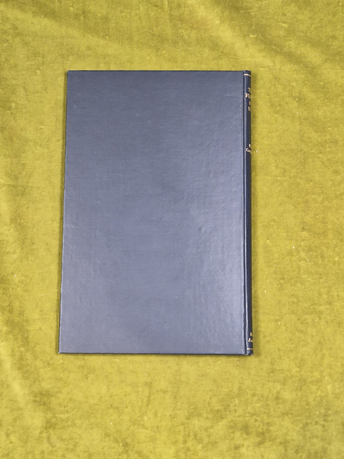 Flora of Uig : a botanical exploration - ed. M S Campbell , T Buncle & Co 19452