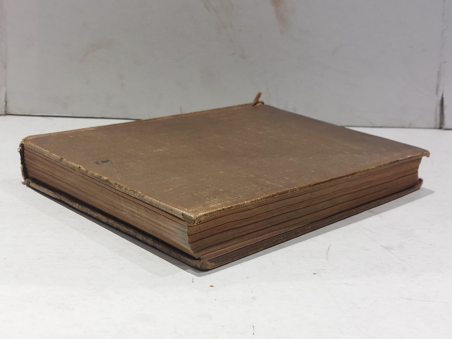 Die Naturlichen pflanzenfamilien By Engler & Pratl (1895) Hb Book6