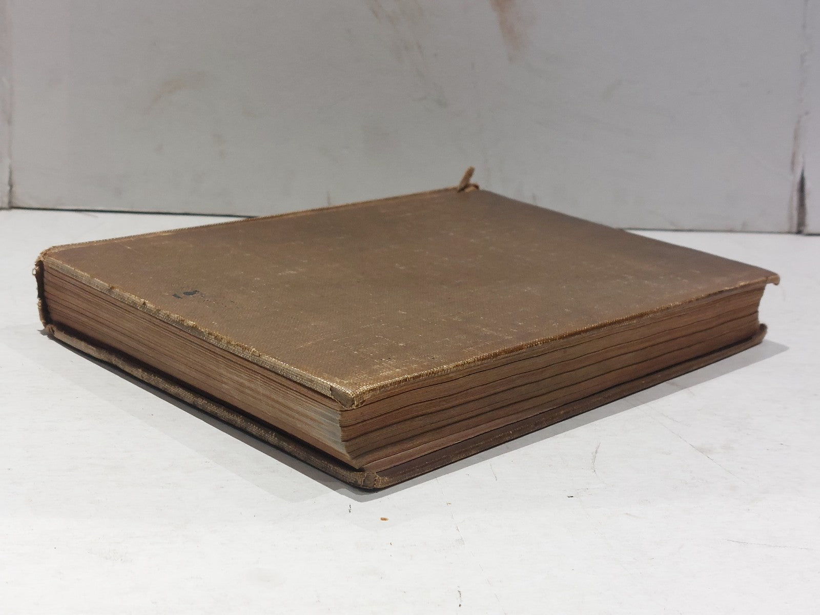 Die Naturlichen pflanzenfamilien By Engler & Pratl (1895) Hb Book6