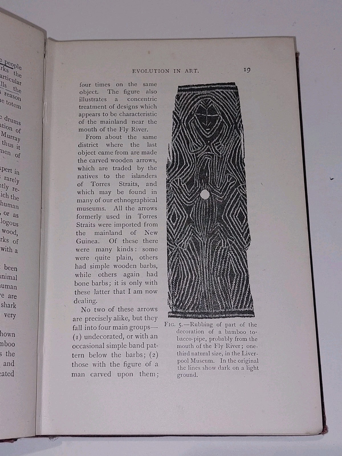 Evolution in Art by Alfred C. Haddon First Edition (1895) Havelock Ellis6