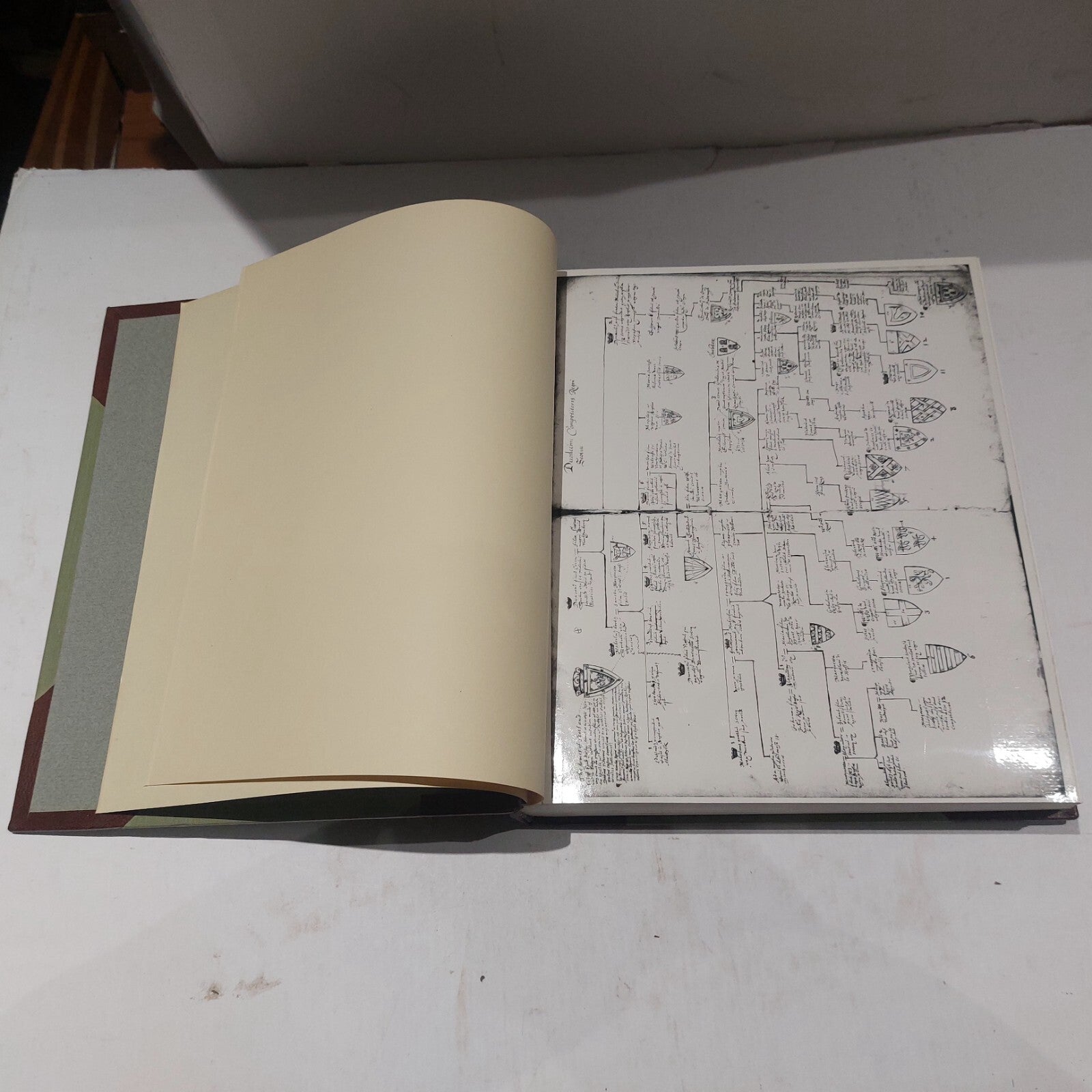 H. L. Hamilton Beautifully Bound Dissertation: Balfour's Heraldic (Vol I & II)15