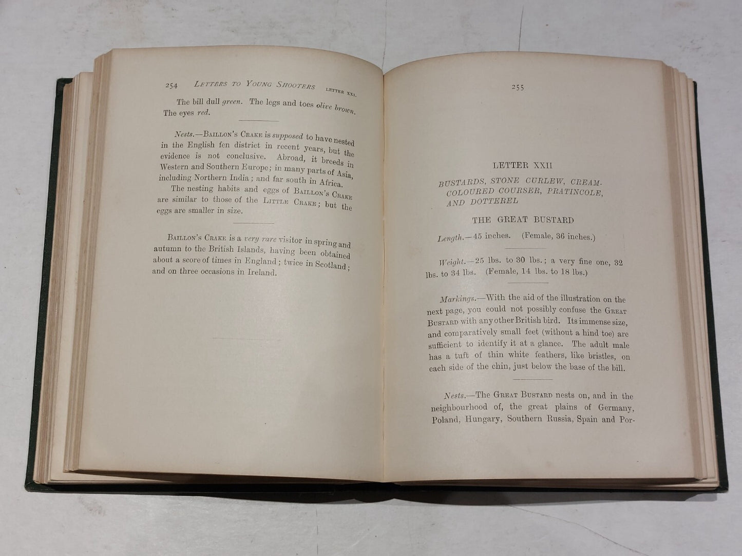 PayneGallwey, Sir Ralph LETTERS TO YOUNG SHOOTERS (THIRD SERIES) SHORT NATURAL6