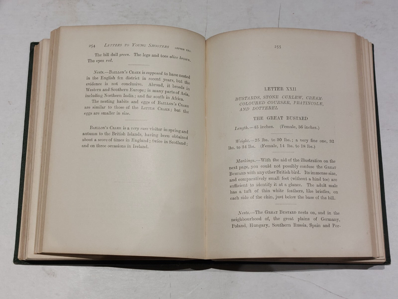 PayneGallwey, Sir Ralph LETTERS TO YOUNG SHOOTERS (THIRD SERIES) SHORT NATURAL6