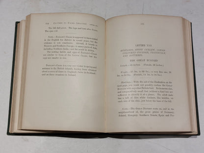 PayneGallwey, Sir Ralph LETTERS TO YOUNG SHOOTERS (THIRD SERIES) SHORT NATURAL6