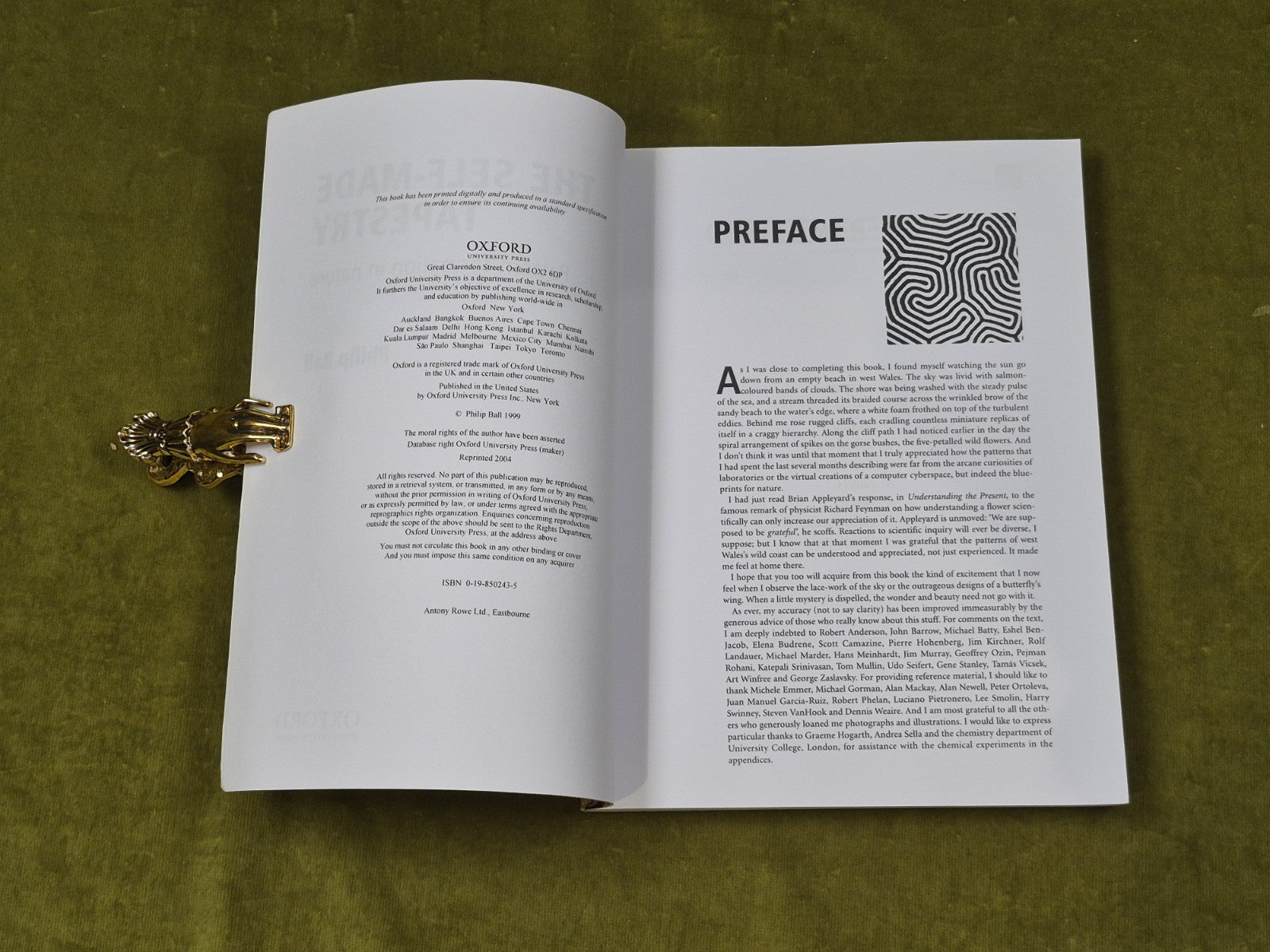 The Self-Made Tapestry : Pattern Formation in Nature - Philip Ball , Oxford PB4